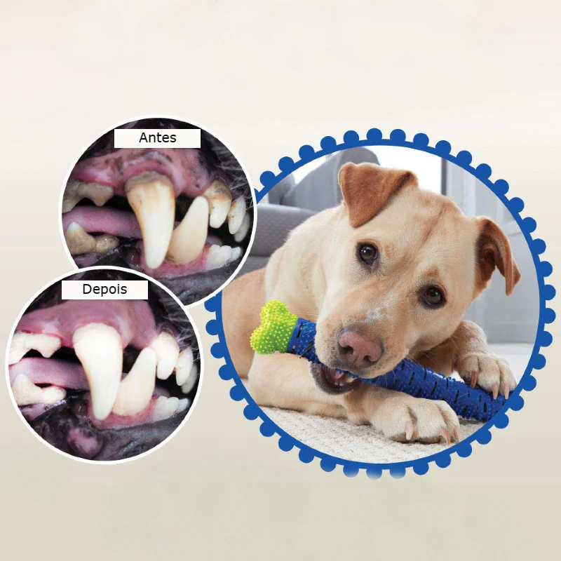 Brinquedo Multifuncional 2 em 1 para Cão