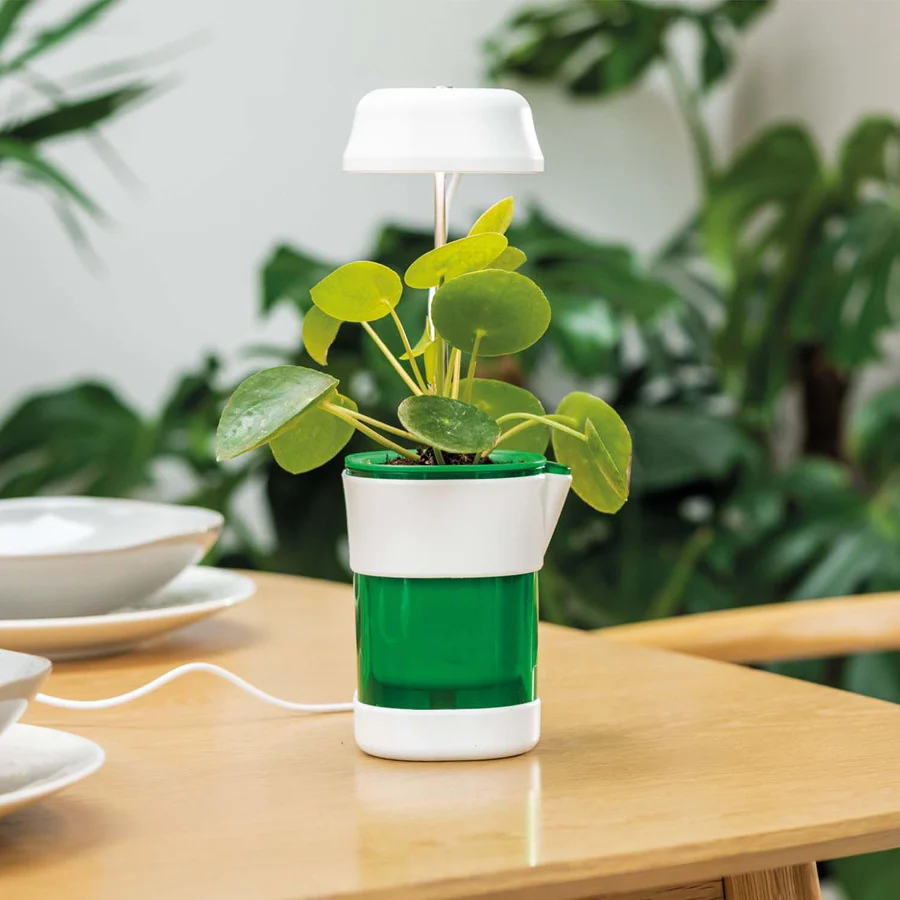 Vaso com luz LED e irrigação automática
